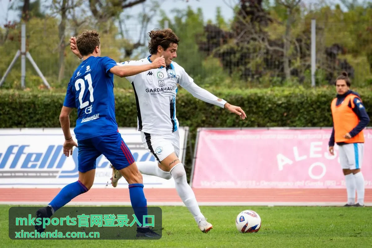 mksports官网登录入口步骤对照说明图